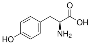 Formula L-Tirozina